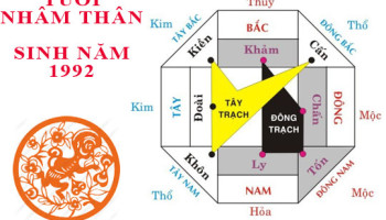 Sinh-nam-1992-Nham-Than-hop-huong-nao-3505