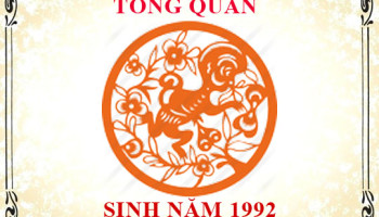 Sinh-nam-1992-menh-gi-tuoi-gi-va-hop-mau-gi-3420