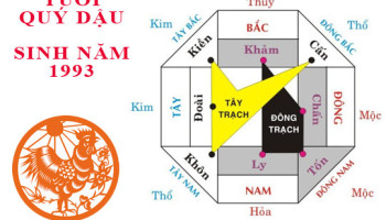 Sinh-nam-1993-Quy-Dau-hop-huong-nao-3513
