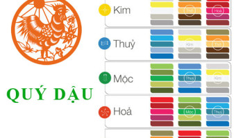 Sinh-nam-1993-Quy-Dau-hop-voi-mau-gi-mua-xe-mau-gi-3618