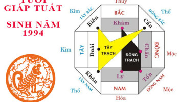 Sinh-nam-1994-Giap-Tuat-hop-huong-nao-3524
