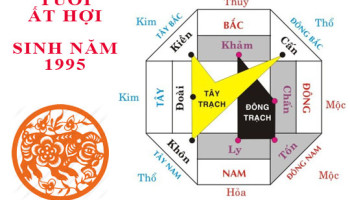 Sinh-nam-1995-At-Hoi-hop-huong-nao-3534