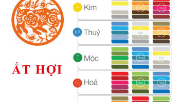 Sinh-nam-1995-At-Hoi-hop-voi-mau-gi-mua-xe-mau-gi-3637