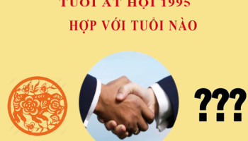 Sinh-nam-1995-At-Hoi-hop-voi-tuoi-nao-3788