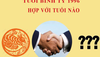 Sinh-nam-1996-Binh-Ty-hop-voi-tuoi-nao-3799
