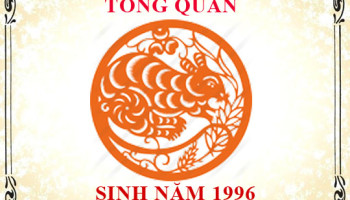 Sinh-nam-1996-menh-gi-tuoi-gi-va-hop-mau-gi-3457