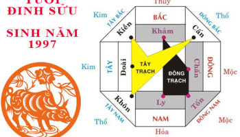 Sinh-nam-1997-Dinh-Suu-hop-huong-nao-3553