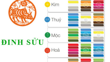 Sinh-nam-1997-Dinh-Suu-hop-voi-mau-gi-mua-xe-mau-gi-3659