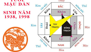 Sinh-nam-1998-Mau-Dan-hop-huong-nao-3563