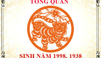 Sinh-nam-1998-menh-gi-tuoi-gi-va-hop-mau-gi-3475