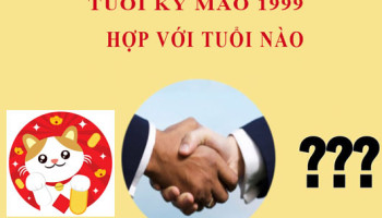 Sinh-nam-1999-Ky-Mao-hop-voi-tuoi-nao-3822