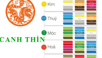 Sinh-nam-2000-Canh-Thin-hop-voi-mau-gi-mua-xe-mau-gi-3691