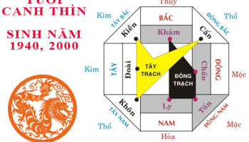 Sinh-nam-2000-Canh-Thin-hop-voi-tuoi-nao-3830