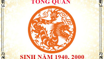 Sinh-nam-2000-menh-gi-tuoi-gi-va-hop-mau-gi-3494