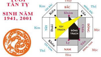 Sinh-nam-2001-Tan-Ty-hop-huong-nao-3601