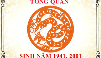 Sinh-nam-2001-menh-gi-tuoi-gi-va-hop-mau-gi-3504