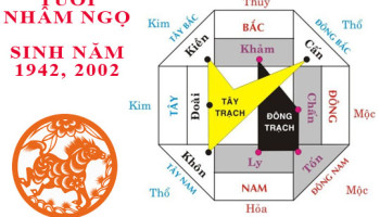 Sinh-nam-2002-Nham-Ngo-hop-huong-nao-3610
