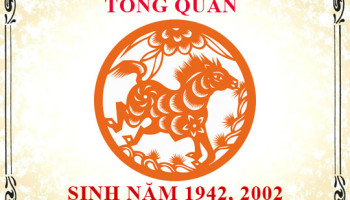 Sinh-nam-2002-menh-gi-tuoi-gi-va-hop-mau-gi-3512