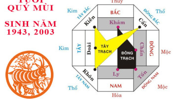 Sinh-nam-2003-Quy-Mui-hop-huong-nao-3710