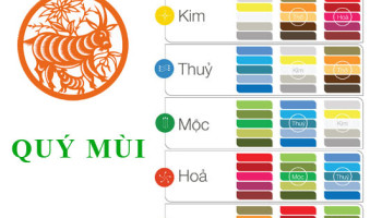 Sinh-nam-2003-Quy-Mui-hop-voi-mau-gi-mua-xe-mau-gi-3721
