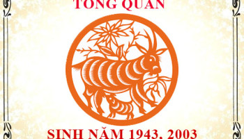 Sinh-nam-2003-menh-gi-tuoi-gi-va-hop-mau-gi-3523
