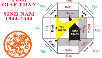 Sinh-nam-2004-Giap-Than-hop-huong-nao-3720