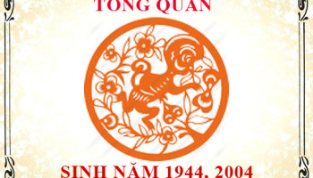 Sinh-nam-2004-menh-gi-tuoi-gi-va-hop-mau-gi-3533