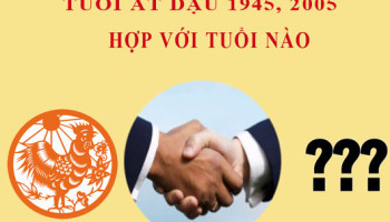 Sinh-nam-2005-At-Dau-hop-voi-tuoi-nao-3876