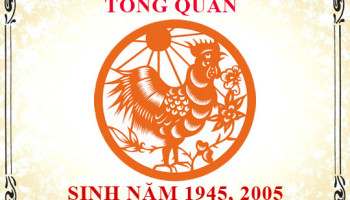 Sinh-nam-2005-menh-gi-tuoi-gi-va-hop-mau-gi-3542