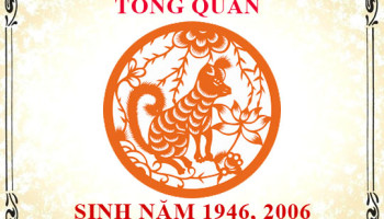 Sinh-nam-2006-menh-gi-tuoi-gi-va-hop-mau-gi-3552