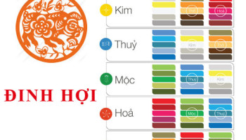 Sinh-nam-2007-Dinh-Hoi-hop-voi-mau-gi-mua-xe-mau-gi-3760