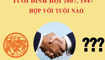 Sinh-nam-2007-Dinh-Hoi-hop-voi-tuoi-nao-3895