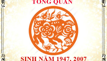 Sinh-nam-2007-menh-gi-tuoi-gi-va-hop-mau-gi-3562