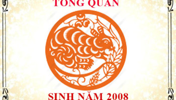 Sinh-nam-2008-menh-gi-tuoi-gi-va-hop-mau-gi-3572