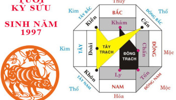 Sinh-nam-2009-Ky-Suu-hop-huong-nao-3769
