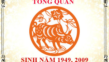 Sinh-nam-2009-menh-gi-tuoi-gi-va-hop-mau-gi-3587