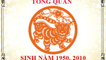 Sinh-nam-2010-menh-gi-tuoi-gi-va-hop-mau-gi-3599
