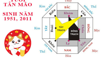 Sinh-nam-2011-Tan-Mao-hop-huong-nao-3797