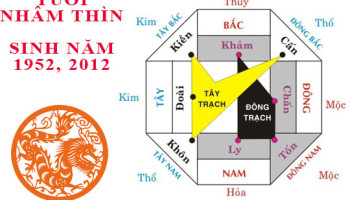 Sinh-nam-2012-Nham-Thin-hop-huong-nao-3804