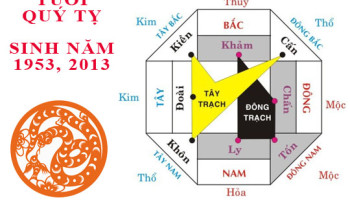 Sinh-nam-2013-Quy-Ty-hop-huong-nao-3814