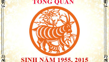 Sinh-nam-2015-menh-gi-tuoi-gi-va-hop-mau-gi-3729