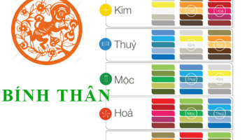Sinh-nam-2016-Binh-Than-hop-voi-mau-gi-mua-xe-mau-gi-3924