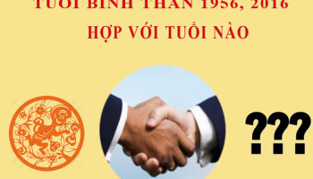 Sinh-nam-2016-Binh-Than-hop-voi-tuoi-nao-5541