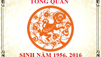 Sinh-nam-2016-menh-gi-tuoi-gi-va-hop-mau-gi-3737