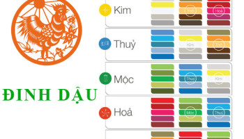 Sinh-nam-2017-Dinh-Dau-hop-voi-mau-gi-mua-xe-mau-gi-3934