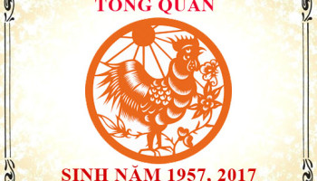 Sinh-nam-2017-menh-gi-tuoi-gi-va-hop-mau-gi-3748