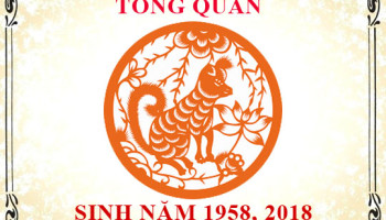 Sinh-nam-2018-menh-gi-tuoi-gi-va-hop-mau-gi-3758