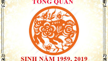 Sinh-nam-2019-menh-gi-tuoi-gi-va-hop-mau-gi-3768