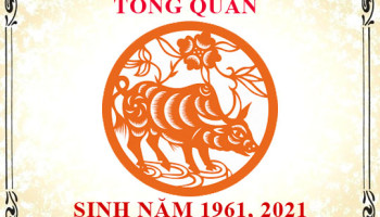 Sinh-nam-2021-menh-gi-tuoi-gi-va-hop-mau-gi-3784