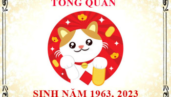 Sinh-nam-2023-menh-gi-tuoi-gi-va-hop-mau-gi-3803